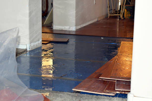 Professional Emergency Water Damage Restoration technician working in Garnerville, NY